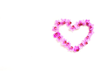 Orchid flowers on a white background in the shape of a heart. The flowers are purple in color.