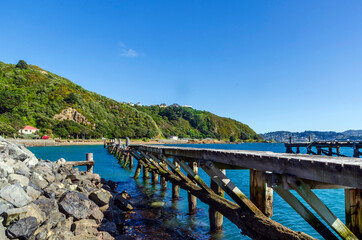 Obraz premium Landscape of Shelly Bay in Wellington, New Zealand