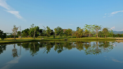 Fototapeta premium Natural pond with blue sky and green garden