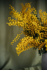 Mimosa bouquet in a vase, a card for International Women's Day