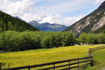 Fototapeta na wymiar Pinnistal in den Alpen