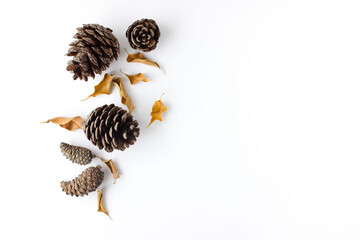 Autumn composition. Dried, autumn eaves and cones on a white background. Flat lay, top view, copy space