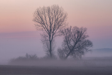 Fototapeta na wymiar Mgły o wschodzie słońca