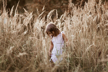 Free emotional caucasian girl child in summer running in tall grass, concept of freedom, childhood and emotions, happy childhood in nature