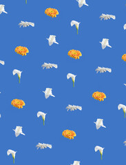 pattern made with fresh flowers, white kala, white and yellow gerbers and white narcissus on pastel blue background. summer abstract art. summer background