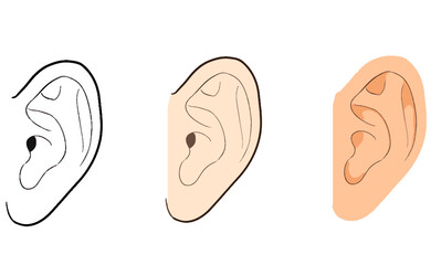耳のイラスト　線画とカラーのセット