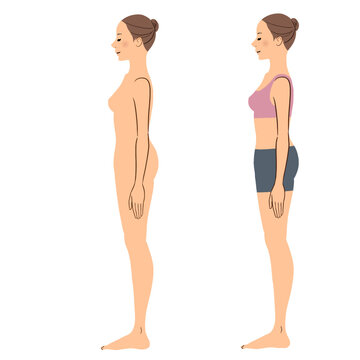 281 最適な 全身骨格図 画像 ストック写真 ベクター Adobe Stock