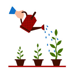Watering seedlings with a garden watering can. Young garden shoots. Water is pouring out of the watering can. Watering can holding in hand. Drops of water falling.