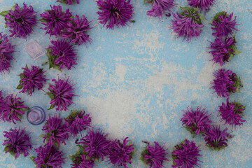 perfume bottle with violet bergamot flower on blue wooden background