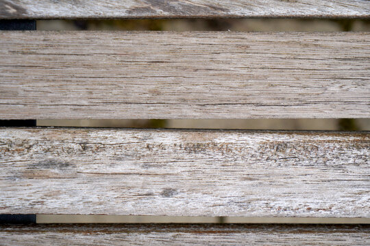 Wood with a fine structure, photographed outdoors in daylight