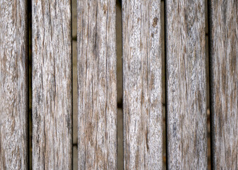 Wood with a fine structure, photographed outdoors in daylight