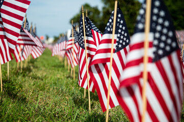 Hundreds of American flags planted on the lawn