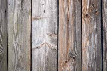Fototapeta premium Wood with a fine structure, photographed outdoors in daylight