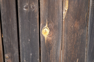 Wood with a fine structure, photographed outdoors in daylight