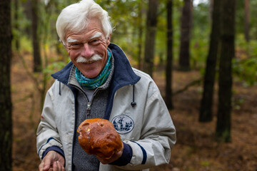 A close-up of a happy senior man collecting mushrooms in the forest.