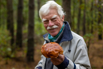 A close-up of a happy senior man collecting mushrooms in the forest.
