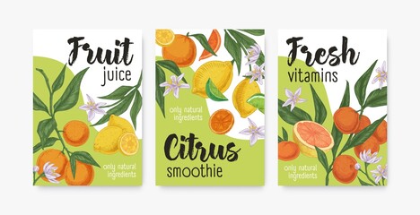 Packaging templates with tropical citrus fruits. Set of lemon, orange, mandarin, tangerine and grapefruit backgrounds or vertical banners. Colored realistic vector illustration of packing design