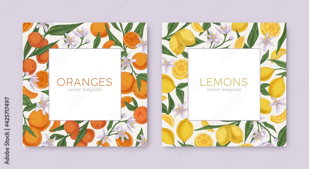 Aufkleber templates with hand-drawn tropical citrus frames and white backgrounds. square card design with lemo