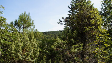 Fototapeta premium Vista lungo il sentiero sui monti delle Cesane nelle Marche