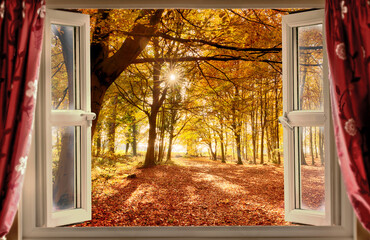 Open window view to autumn forest - 425718620