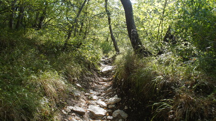 Vista lungo il sentiero sui monti delle Cesane nelle Marche
