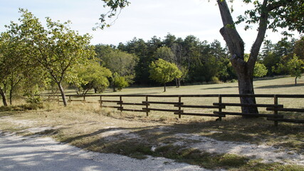 Vista lungo il sentiero sui monti delle Cesane nelle Marche