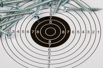 Project Goal, Planning and Achievements concept. Paper target and screws