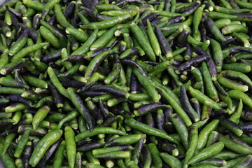 hot and spicy green raw chili stock