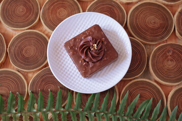 chocolate dessert with filling of caramel, nuts and nougats. The cake is covered with chocolate on a wooded background with a morning natural light