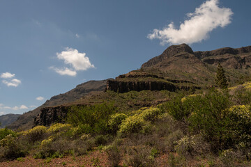 Fototapeta premium Senderismo en el Barranco de Fataga, Gran Canaria