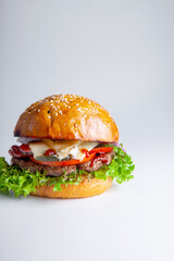 juicy hamburger on a white plate in the studio