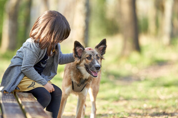 Little girl stroking a pretty dog