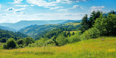 countryside landscape in summer. beautiful nature scenery with meadows on the hills rolling in to the distant valley. wonderful sunny weather