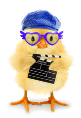 Cute cool chick filmmaker director isolated on white funny conceptual image