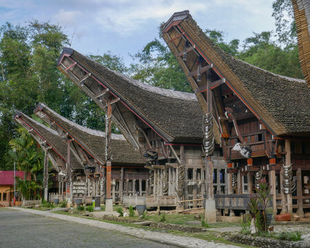 View of beautiful main street of Kete Kesu village with tongkonan or traditional houses, near Rantepao, Tana Toraja, South Sulawesi, Indonesia