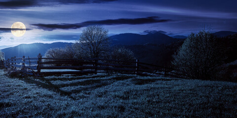 trees behind the fence on the grassy meadow at night. spring rural landscape in full moon light....