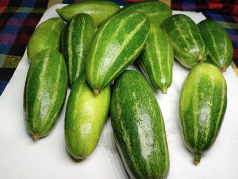 Green Colored Raw Pointed Gourd Stock