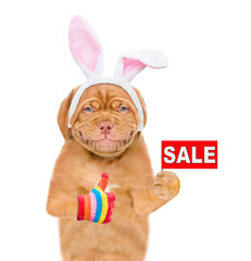 Smiling puppy wearing easter rabbits ears holds sales symbol and shows thumbs up gesture. Isolated on white background