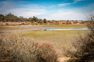 national park rio formosa in portugal