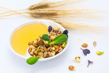 Vegan and healthy eating. Sprouts seeds.New life concept. Growing microgreen sprouts close up view. Germination of seeds at home. Detox