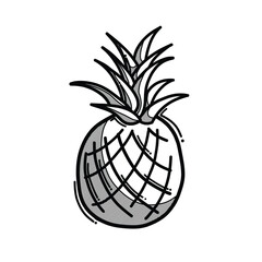 pineapple doodle vector icon. Drawing sketch illustration hand drawn line eps10