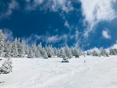 Schladming Planai Hauser Kaibling