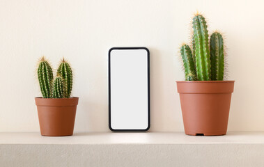 Smartphone with empty screen between cactus