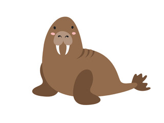Obraz premium walrus