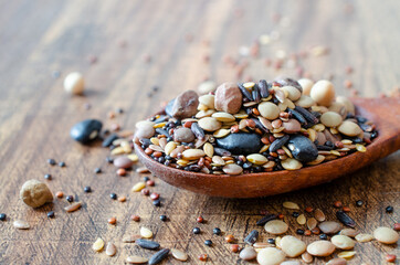 Mixed dry organic cereal and grain seeds in wooden spoon, for clean or healthy food ingredient or agricultural product concept