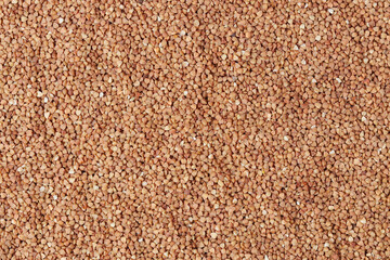 Buckwheat grain. Healthy food concept. Background.