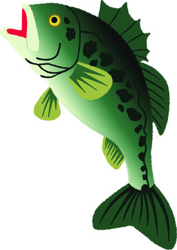 ブラックバス Images Browse 1 004 Stock Photos Vectors And Video Adobe Stock