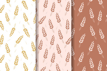 Set of three Seamless pattern of wheat ears. Vector Wallpaper background of ears of grain crops.