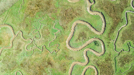 Fototapeta premium aerial view of serpentine marsh crossed by a river 