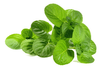 Fresh Vegetables - Peppermint Twig on white Background Isolated